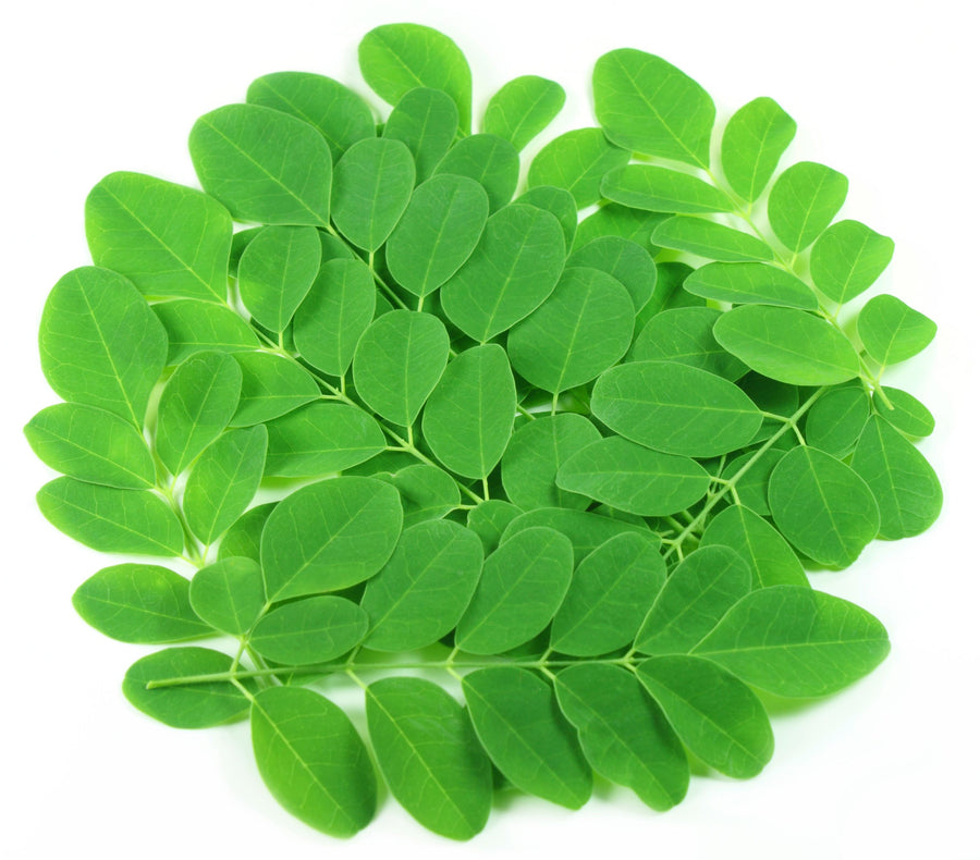 Moringa Leaf Powder - Organic General Health Lean Factor 5 lbs 